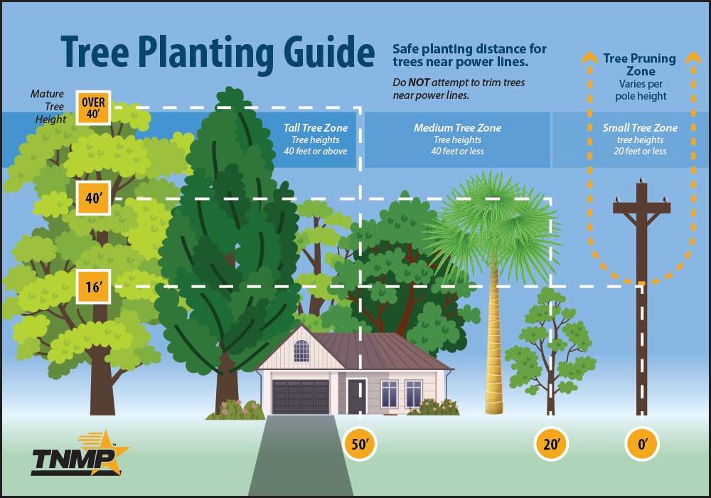 graphic for Tree Planting Guide