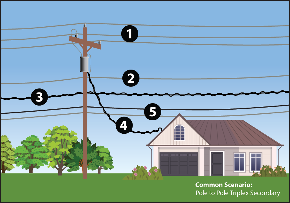 tree and power safety graphic