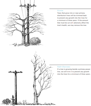 Utility Pruned Trees