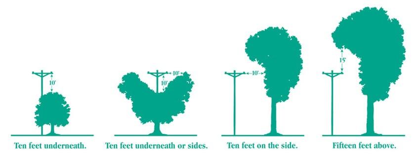 Tree Trimming diagram